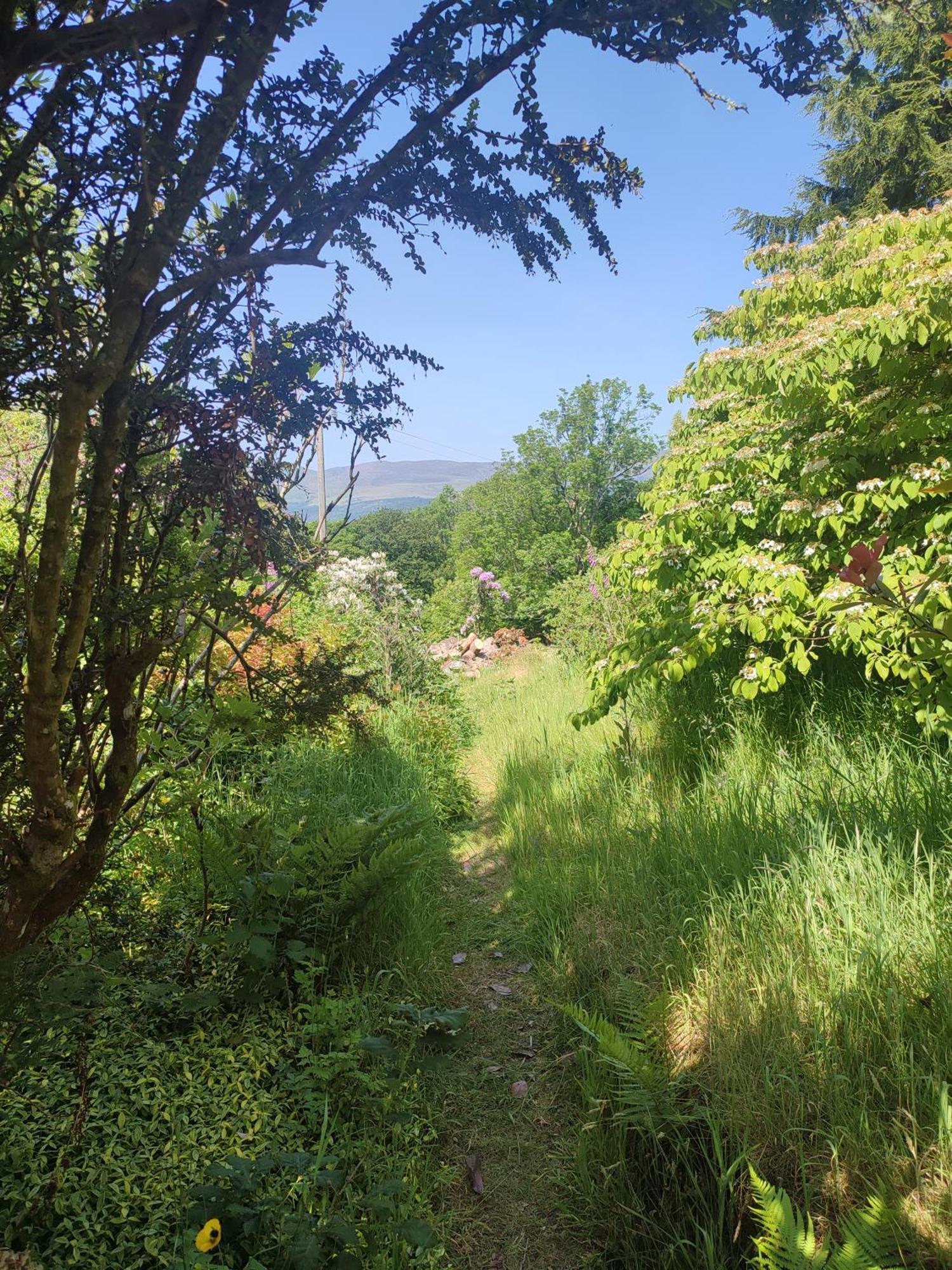 Y Cwtch - Panoramic Mountain Views Within Snowdonia'S National Park - 4X4 Recommended Villa Dolgellau Kültér fotó