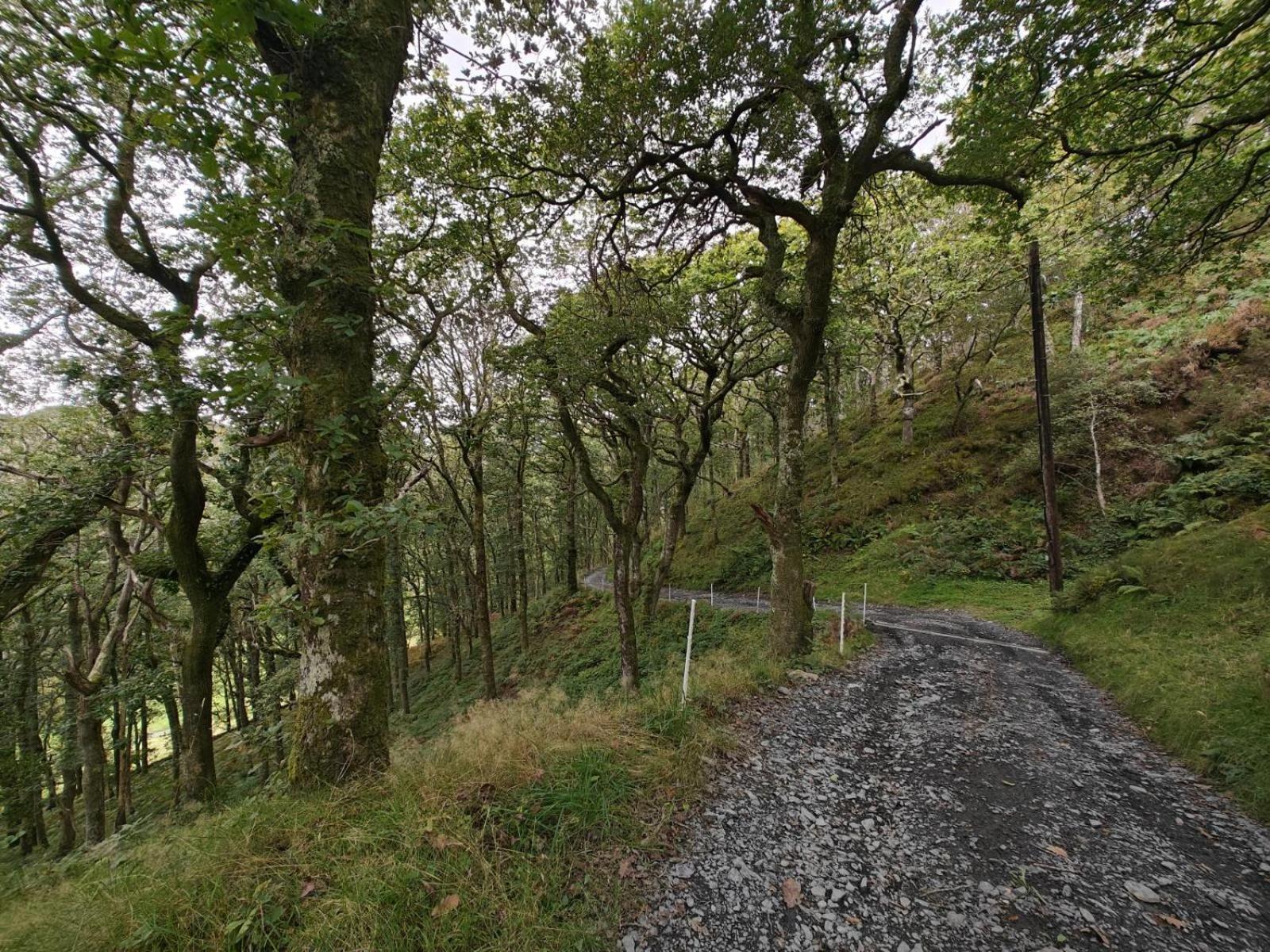 Y Cwtch - Panoramic Mountain Views Within Snowdonia'S National Park - 4X4 Recommended Villa Dolgellau Kültér fotó